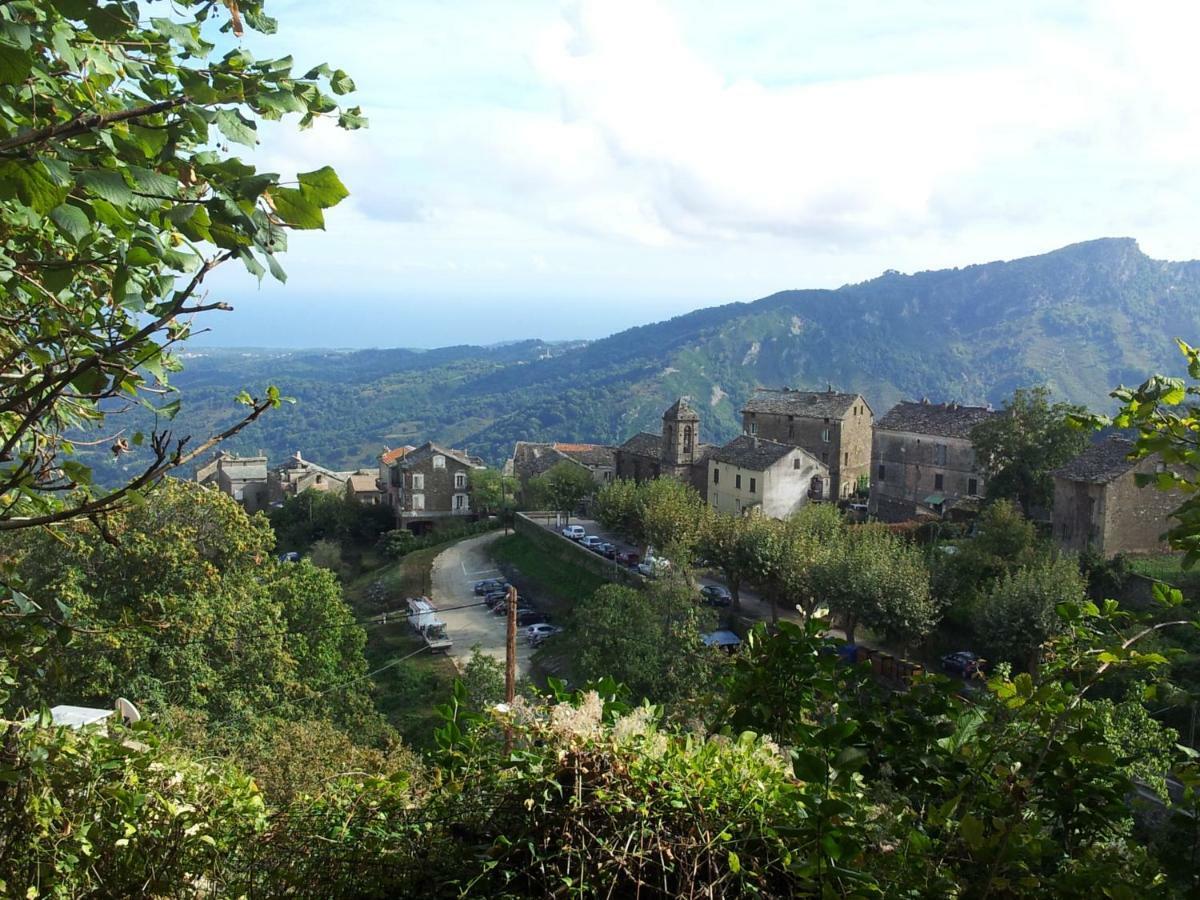 Club In Corsica Bed & Breakfast